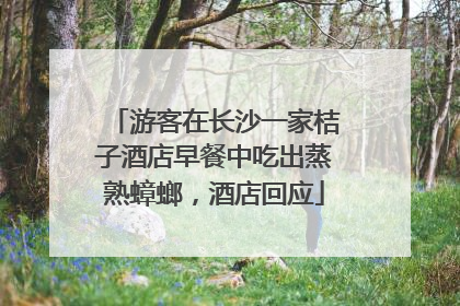 游客在长沙一家桔子酒店早餐中吃出蒸熟蟑螂，酒店回应
