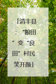 清丰县：“粮田”变“良田”村民笑开颜