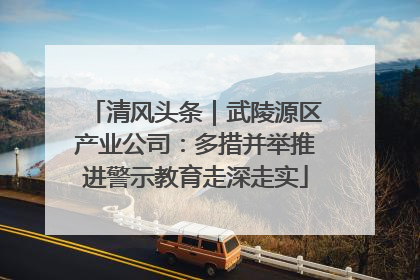 清风头条｜武陵源区产业公司：多措并举推进警示教育走深走实