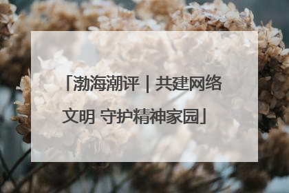 渤海潮评｜共建网络文明 守护精神家园