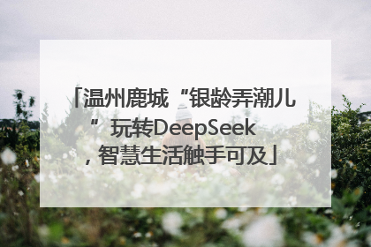 温州鹿城“银龄弄潮儿”玩转DeepSeek，智慧生活触手可及