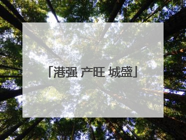港强 产旺 城盛