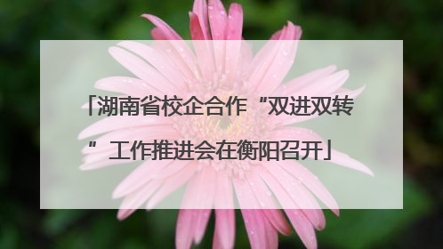 湖南省校企合作“双进双转”工作推进会在衡阳召开