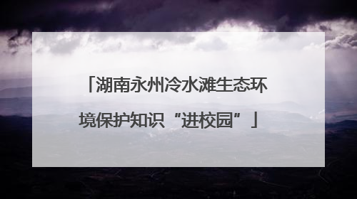 湖南永州冷水滩生态环境保护知识“进校园”