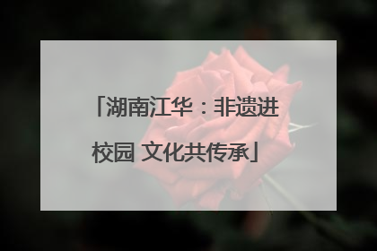 湖南江华：非遗进校园 文化共传承