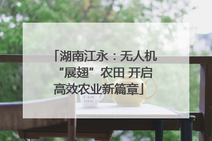湖南江永：无人机“展翅”农田 开启高效农业新篇章