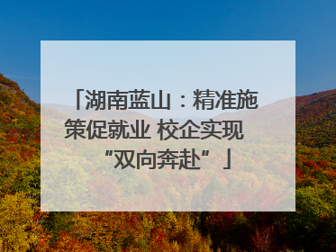 湖南蓝山：精准施策促就业 校企实现“双向奔赴”