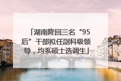 湖南隆回三名“95后”干部拟任副科级领导，均系硕士选调生