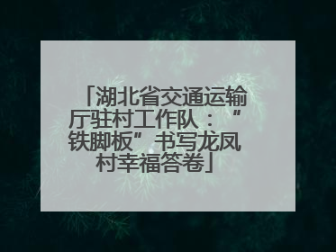 湖北省交通运输厅驻村工作队：“铁脚板”书写龙凤村幸福答卷