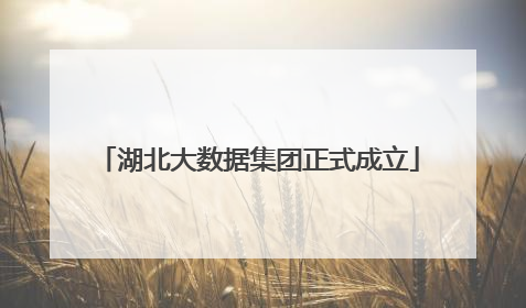 湖北大数据集团正式成立