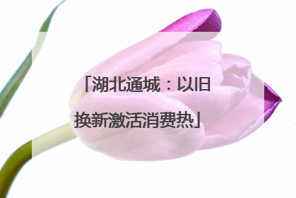 湖北通城：以旧换新激活消费热