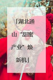 湖北通山“甜蜜产业”焕新机