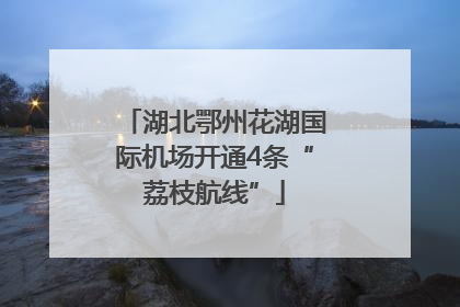 湖北鄂州花湖国际机场开通4条“荔枝航线”