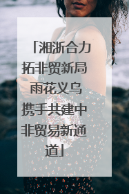 湘浙合力拓非贸新局 雨花义乌携手共建中非贸易新通道