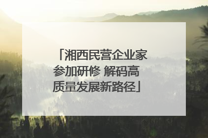湘西民营企业家参加研修 解码高质量发展新路径