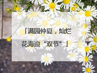 满园仲夏，灿烂花海迎“双节”