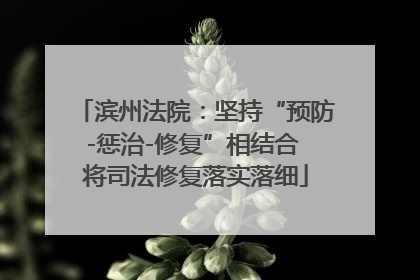 滨州法院：坚持“预防-惩治-修复”相结合 将司法修复落实落细