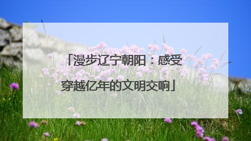 漫步辽宁朝阳：感受穿越亿年的文明交响