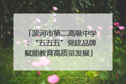 漯河市第二高级中学：“五五五”党建品牌赋能教育高质量发展