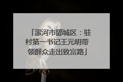 漯河市郾城区：驻村第一书记王元明带领群众走出致富路