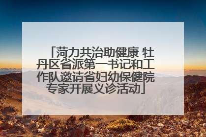 菏力共治助健康 牡丹区省派第一书记和工作队邀请省妇幼保健院专家开展义诊活动