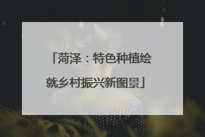 菏泽：特色种植绘就乡村振兴新图景