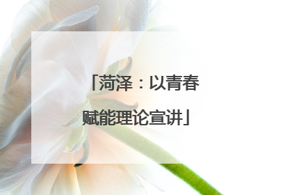 菏泽：以青春赋能理论宣讲