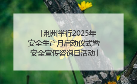荆州举行2025年安全生产月启动仪式暨安全宣传咨询日活动