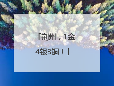 荆州，1金4银3铜！