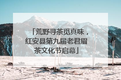 荒野寻茶觅真味，红安县第九届老君眉茶文化节启幕