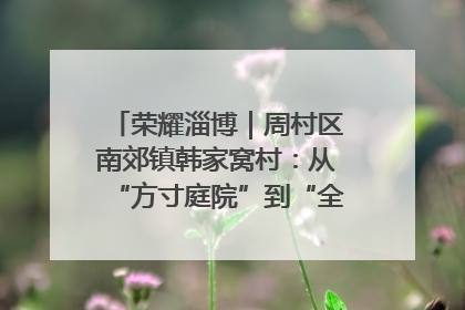 荣耀淄博｜周村区南郊镇韩家窝村：从“方寸庭院”到“全域文明”，乡村振兴的“美学革命”