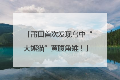 莆田首次发现鸟中“大熊猫”黄腹角雉！