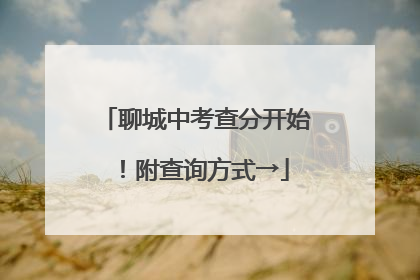 聊城中考查分开始！附查询方式→