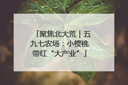 聚焦北大荒｜五九七农场：小樱桃带红“大产业”