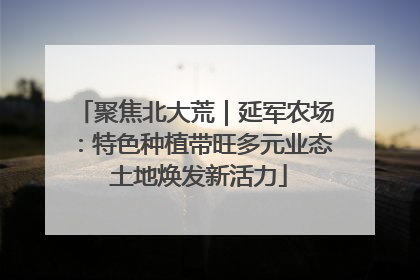 聚焦北大荒｜延军农场：特色种植带旺多元业态 土地焕发新活力