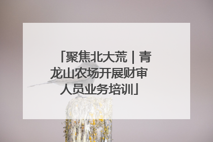 聚焦北大荒｜青龙山农场开展财审人员业务培训