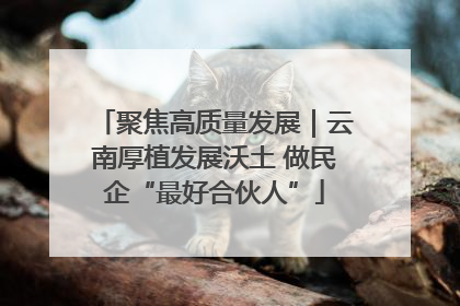 聚焦高质量发展｜云南厚植发展沃土 做民企“最好合伙人”