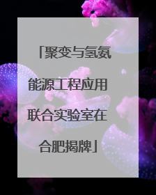 聚变与氢氨能源工程应用联合实验室在合肥揭牌