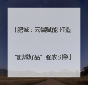 肥城：云端赋能 打造“肥城好品”强农引擎