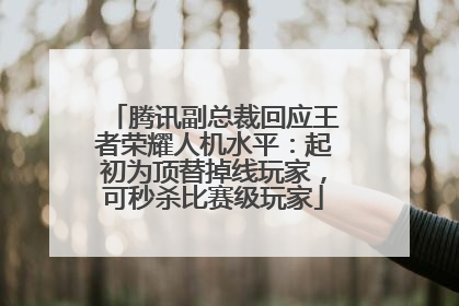 腾讯副总裁回应王者荣耀人机水平：起初为顶替掉线玩家，可秒杀比赛级玩家