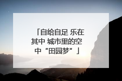 自给自足 乐在其中 城市里的空中“田园梦”