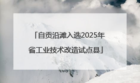 自贡沿滩入选2025年省工业技术改造试点县