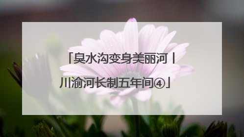 臭水沟变身美丽河丨川渝河长制五年间④