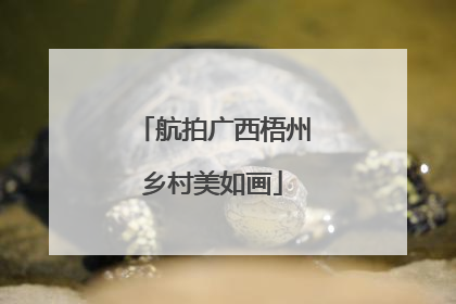 航拍广西梧州乡村美如画