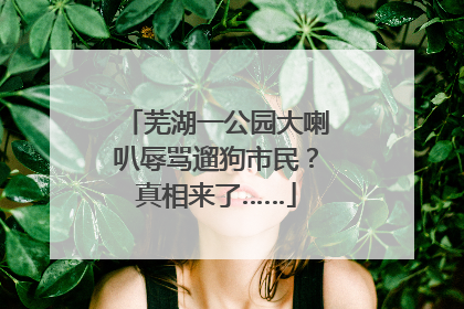 芜湖一公园大喇叭辱骂遛狗市民？真相来了……