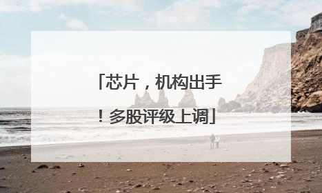 芯片，机构出手！多股评级上调