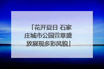 花开夏日 石家庄城市公园萱草盛放展现多彩风貌