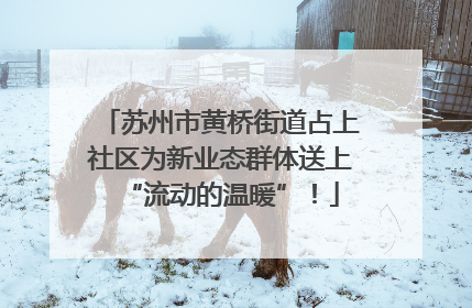 苏州市黄桥街道占上社区为新业态群体送上“流动的温暖”！