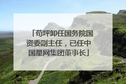 苟坪卸任国务院国资委副主任，已任中国星网集团董事长