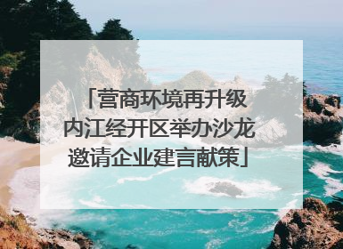 营商环境再升级 内江经开区举办沙龙邀请企业建言献策
